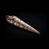 CLEO - Shell pendant