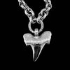 SHARK - Shark tooth pendant