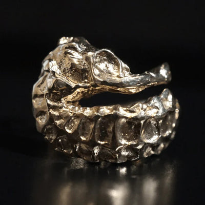 Seepferdchen Ring Seahorse | Ring Silber | Ring gehämmert | massiver Silber Ring | CAPULET Schmuck Werkstatt München