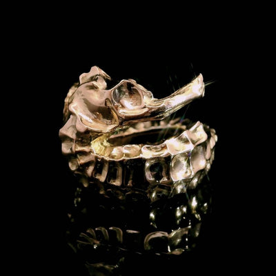 Seepferdchen Ring | Goldring | CAPULET Schmuck Werkstatt München