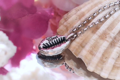 Muschelkette Kauri | Kette mit Muschel | Halskette Damen | CAPULET Schmuck Werkstatt München