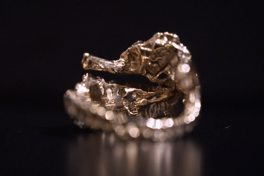 Seepferdchen Ring Seahorse | Ring Silber | Ring gehämmert | massiver Silber Ring | CAPULET Schmuck Werkstatt München