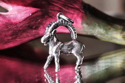 Sternzeichen Kette Steinbock | Halskette Damen | Silberkette | Goldkette | zierliche Kette | CAPULET Schmuck Werkstatt München